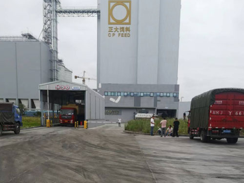 内江正大飼料廠停車(chē)場地面起砂薄層修補